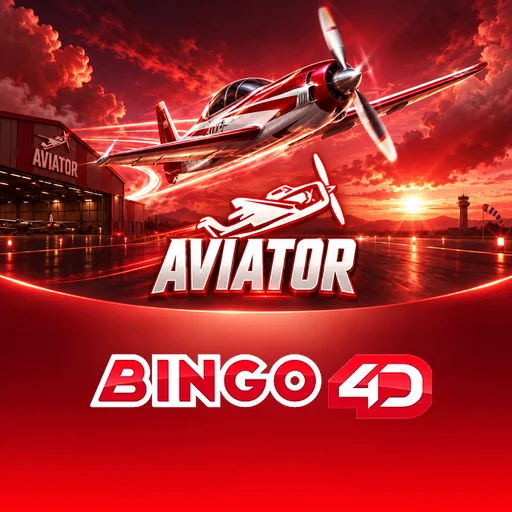 bingo4d
